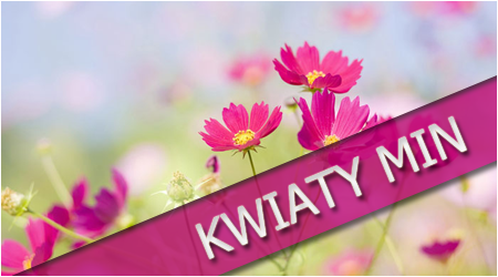 kwiaty min